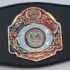 wkf-continental-champion-belt