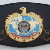 wkf-world-title-belt