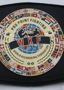 wkf-pro-point-fighting-world-belt