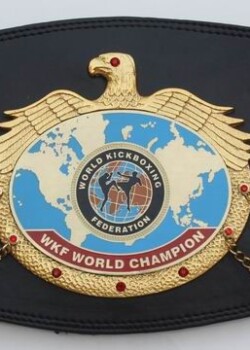 wkf-world-title-belt